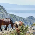 In Mit Meerblick, Terrasse, Klimaanlage, W-lan 4492-3 Podgora (Split-Dalmatia)